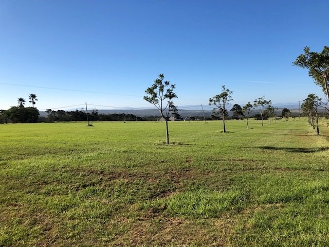 Commercial Property for Sale in Twin Valley Eastern Cape